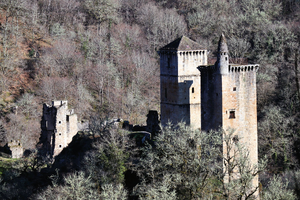 Déménageur Castelnau-le-Lez